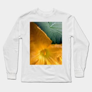 Pumpkin Blossom & Foliage Long Sleeve T-Shirt